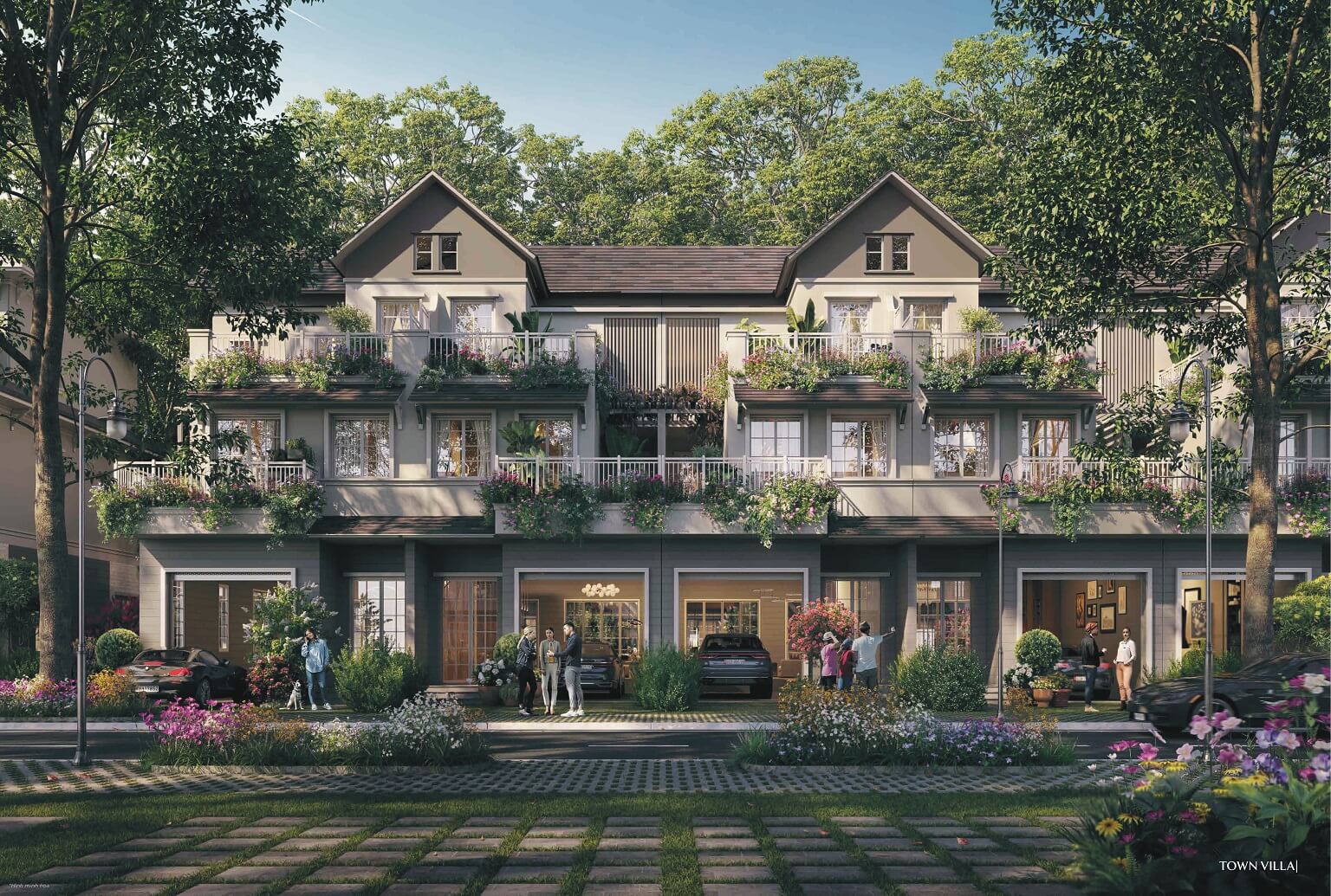 thiết kế liền kề Alluvia City